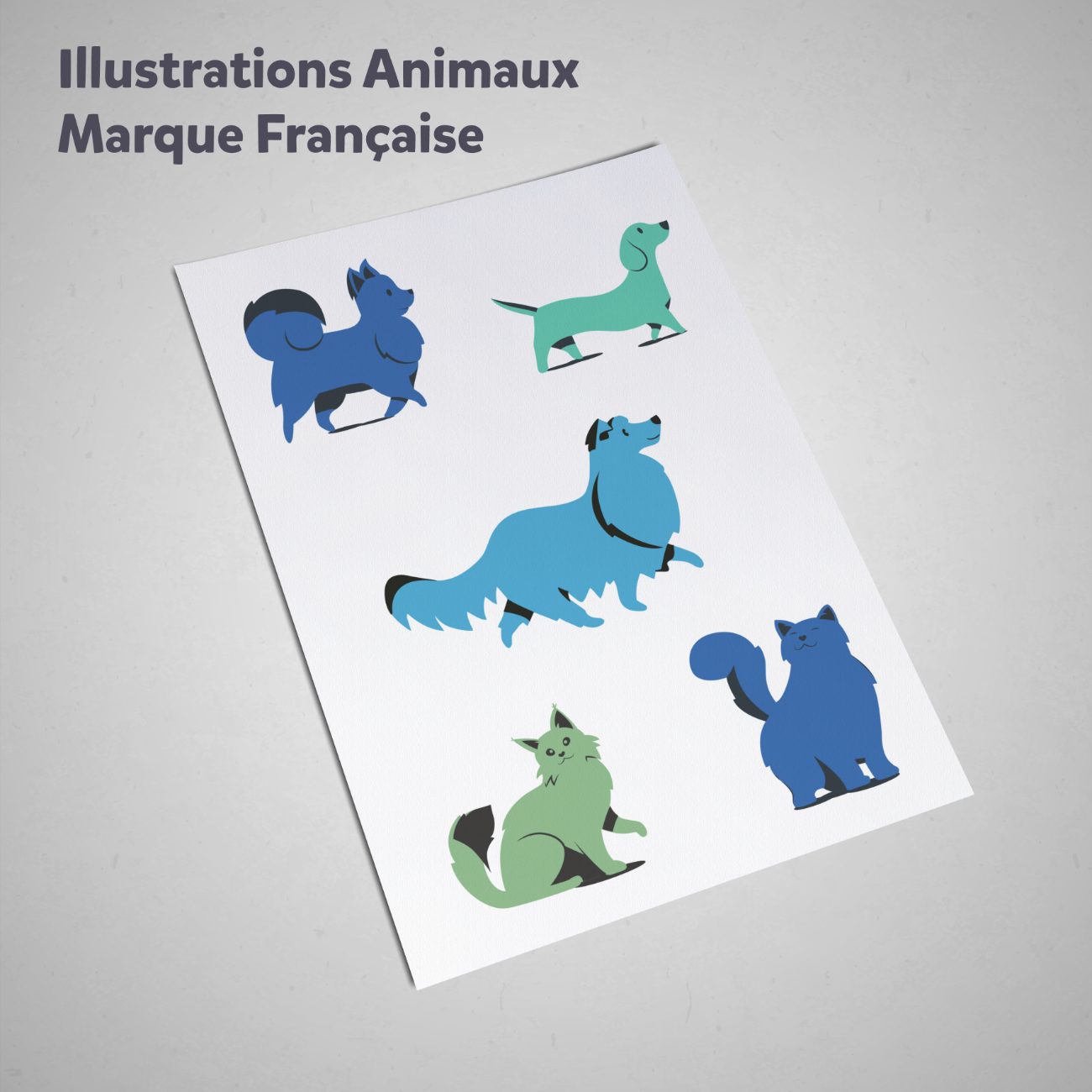 Illustrations animaux